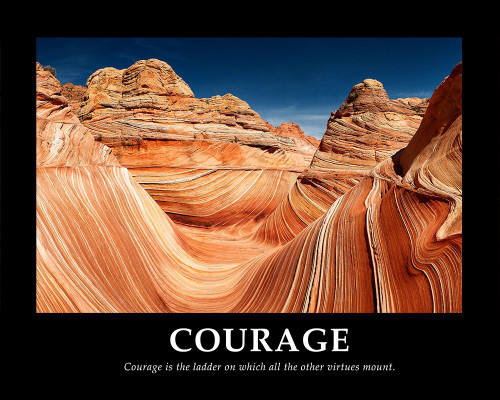 Courage by Shelley Lake (24 x 18)