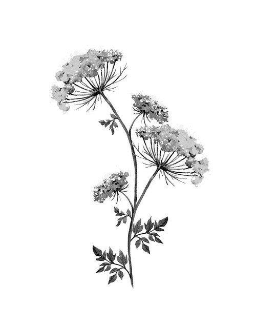 Neutral Washed Botanical III by Conrad Knutsen (18 x 24)
