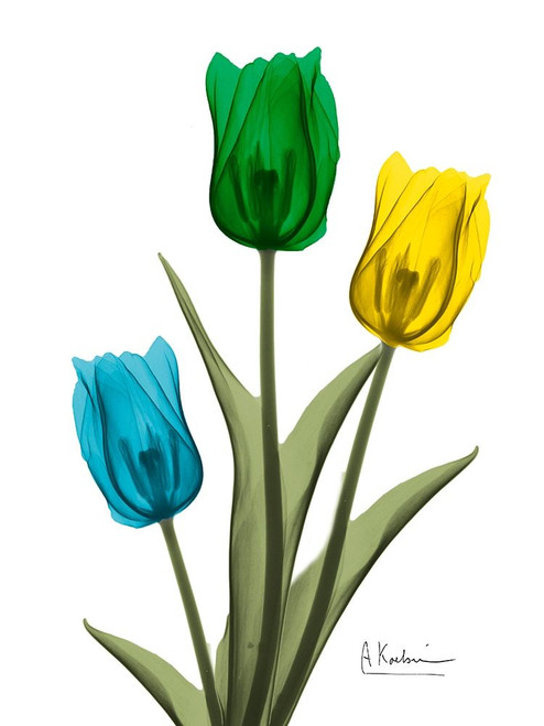 Jeweled Tulip Trio 2 by Albert Koetsier (18 x 24)