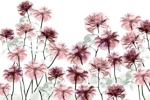 Magnificent Flower Bed 1 by Albert Koetsier (24 x 18)