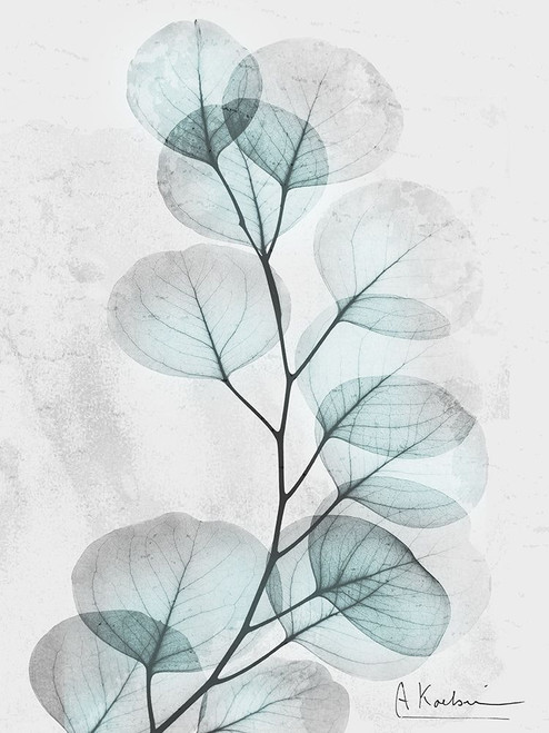 Eucalyptus Glow 3 by Albert Koetsier (18 x 24)