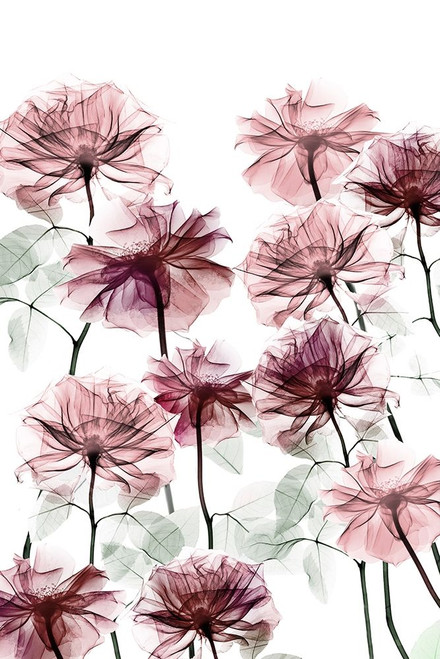 Magnificent Flower Bed 3 by Albert Koetsier (18 x 24)