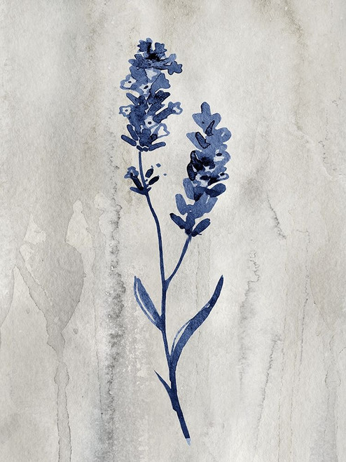 Indigo Botanical II by Conrad Knutsen (18 x 24)