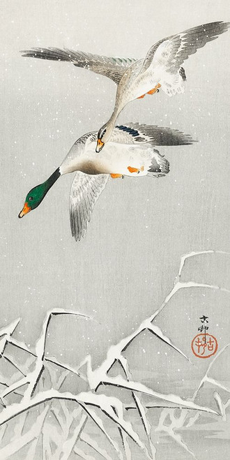 Two wild ducks in flight by Ohara Koson (12 x 24)