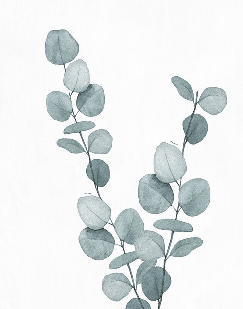 Blue Botanical Wash III by Conrad Knutsen (18 x 24)