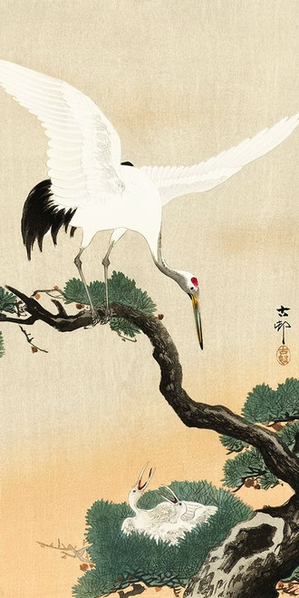 Japanese crane bird on branch of pine by Ohara Koson (12 x 24)