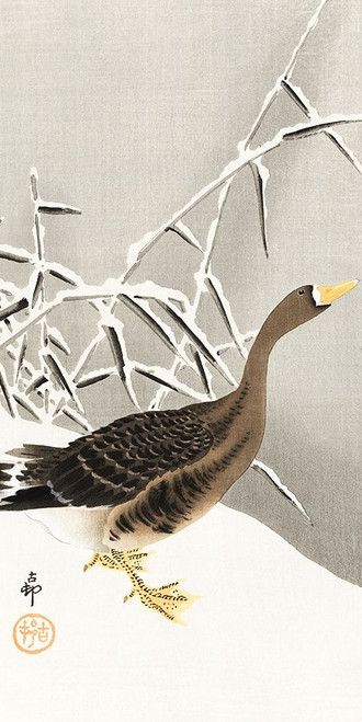 White-fronted goose in the snow by Ohara Koson (12 x 24)