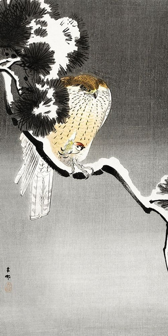 Hawk with sparrow by Ohara Koson (12 x 24)