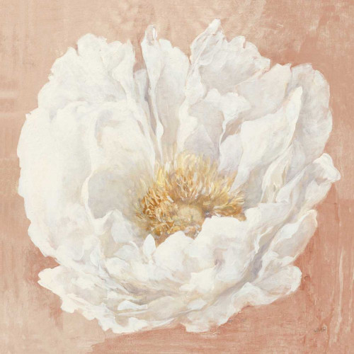 Serene Peony Terracotta by Julia Purinton (12 x 12)