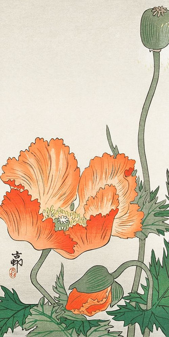 Orange Poppy by Ohara Koson (12 x 24)