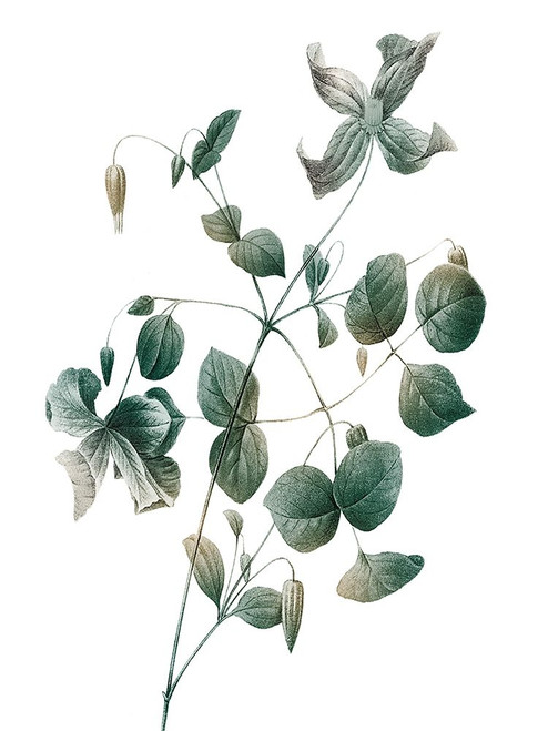 Autumn Descent 2 by Marcus Prime (18 x 24)