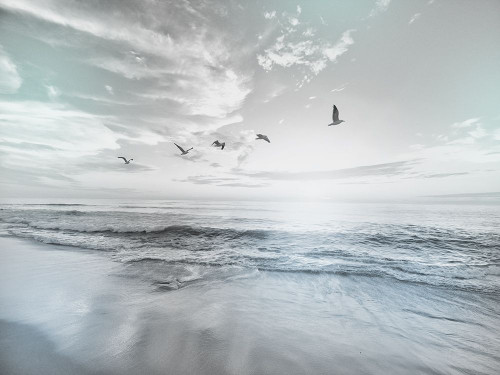 Sea Graced 1 by Marcus Prime (24 x 18)