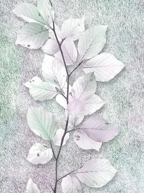 Spring Beauty 1 by Marcus Prime (18 x 24)