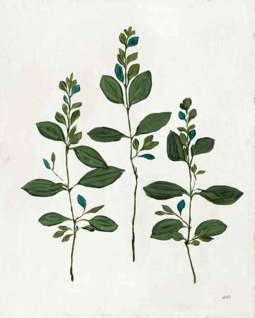 Botanical Study IV Greenery by Julia Purinton (18 x 24)