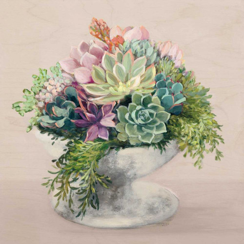 Festive Succulents II Blush by Julia Purinton (24 x 24)