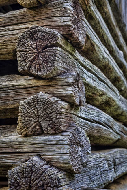 VA, Roanoke, Explore Park Detail of log cabin by Don Paulson (15 x 24)