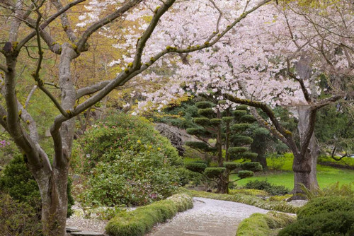 Oregon, Ashland Spring scenic in Lithia Park by Don Paulson (24 x 15)