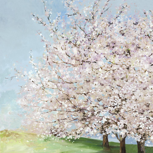 Blossom Orchard by Allison Pearce (12 x 12)