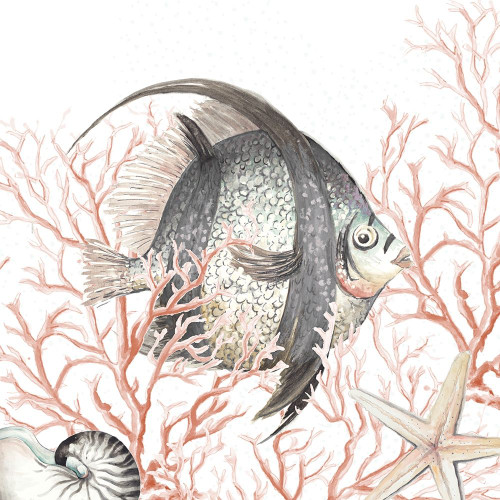 Ocean Fish On Coral by Patricia Pinto (12 x 12)