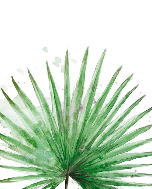 Palm Frond II by Patricia Pinto (24 x 18)