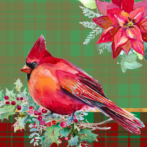 Holiday Poinsettia and Cardinal on Plaid I by Patricia Pinto (12 x 12)