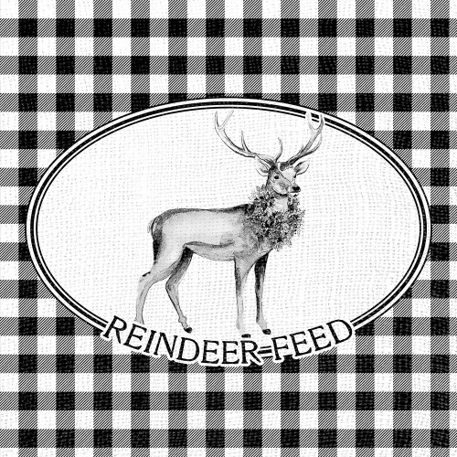 Reindeer Feed by Patricia Pinto (12 x 12)
