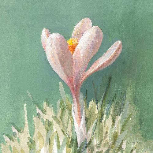 Soft Crocus by Danhui Nai (24 x 24)