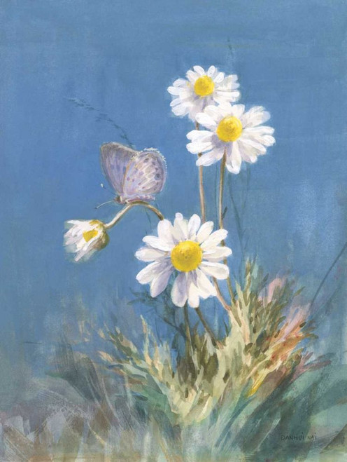 White Daisies by Danhui Nai (18 x 24)