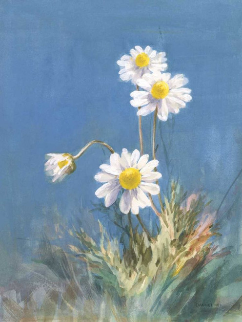 White Daisies No Butterfly by Danhui Nai (18 x 24)
