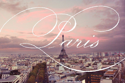 Paris Views by Emily Navas (24 x 15)