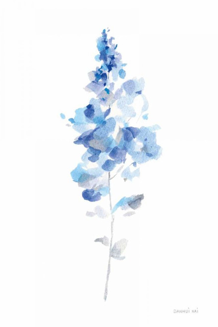 Flower Study I by Danhui Nai (18 x 24)