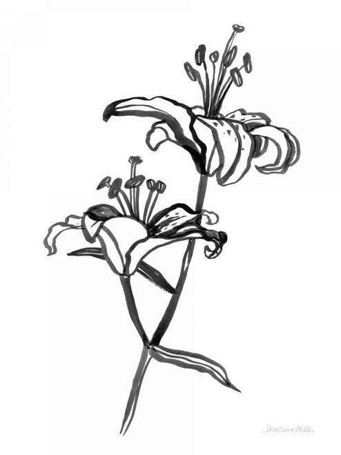 Ink Lilies I by Sara Zieve Miller (18 x 24)
