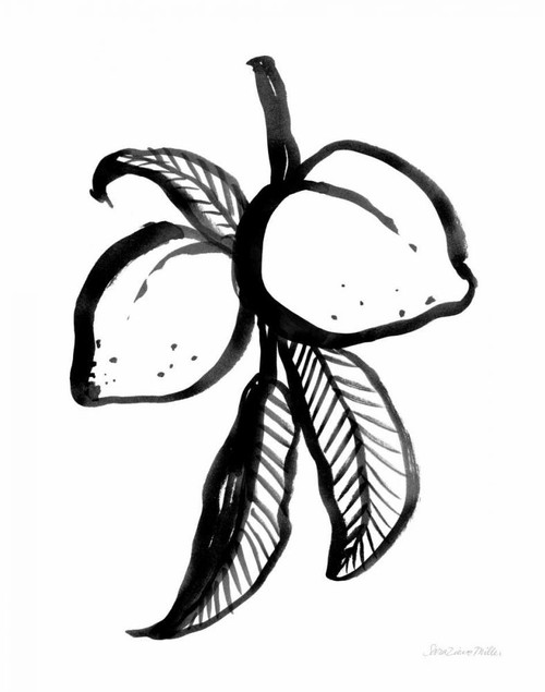 Ink Peaches by Sara Zieve Miller (18 x 24)