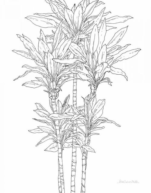 Sketched Tree II by Sara Zieve Miller (18 x 24)