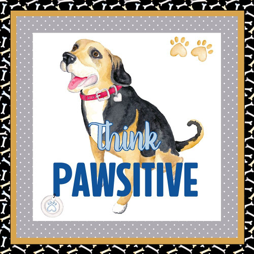 A Dogs Life VI by Andi Metz (24 x 24)