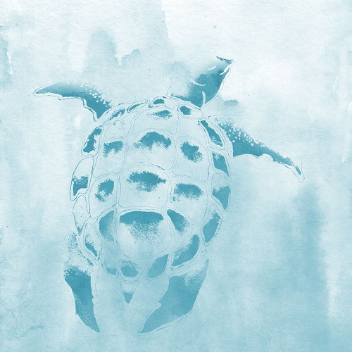 Washed Teal Aquatic Turtle by Elizabeth Medley (24 x 24)