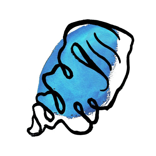 Coastal Contours III by Elizabeth Medley (12 x 12)