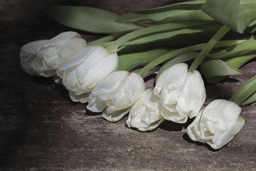 Gathered Tulips by Lori Deiter (24 x 18)