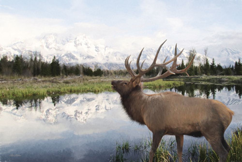 Bull Elk in Tetons by Lori Deiter (24 x 18)