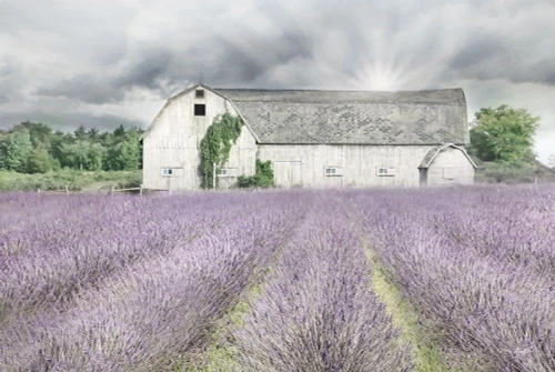 Shades of Lavender and Gray by Lori Deiter (24 x 18)