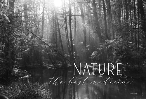 Nature - The Best Medicine by Lori Deiter (24 x 18)