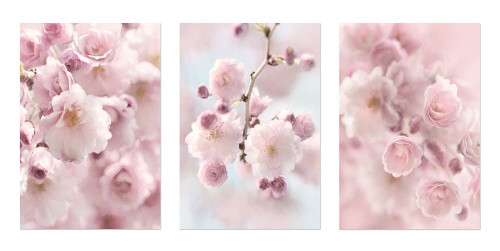 Weeping Cherry Trio by Lori Deiter (24 x 12)