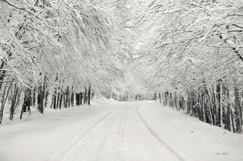 Snowbound by Lori Deiter (24 x 16)