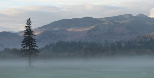 Adirondack Misty Morning by Lori Deiter (24 x 12)
