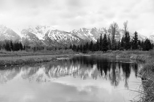 Tetons at Schwabachers Landing by Lori Deiter (24 x 16)