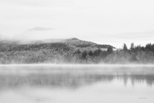 Foggy View by Lori Deiter (24 x 18)