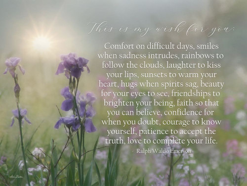 My Wish for You - Floral by Lori Deiter (24 x 18)