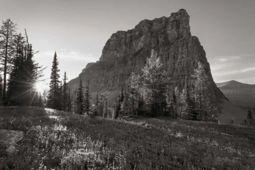 Boulder Pass Glacier National Park BW by Alan Majchrowicz (24 x 15)