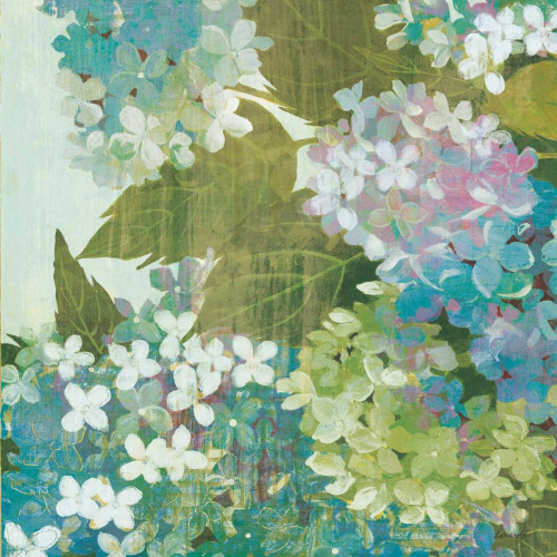Grandiflora Bloom II by Kathrine Lovell (24 x 24)