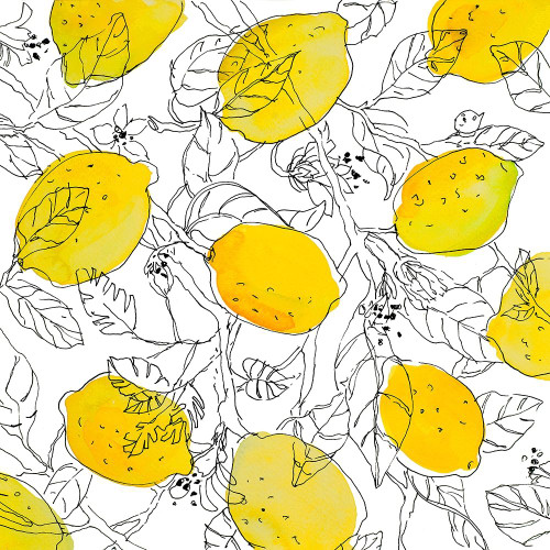 Lemons With Outlined Leaves by Lanie Loreth (24 x 24)